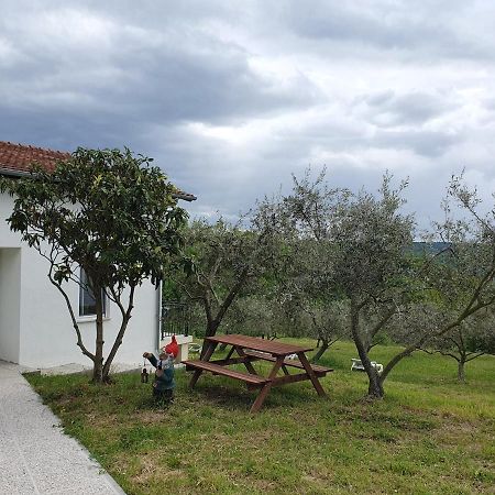 Apartma Zdenko Izola Exteriér fotografie